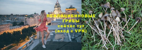 гидропоника Горно-Алтайск
